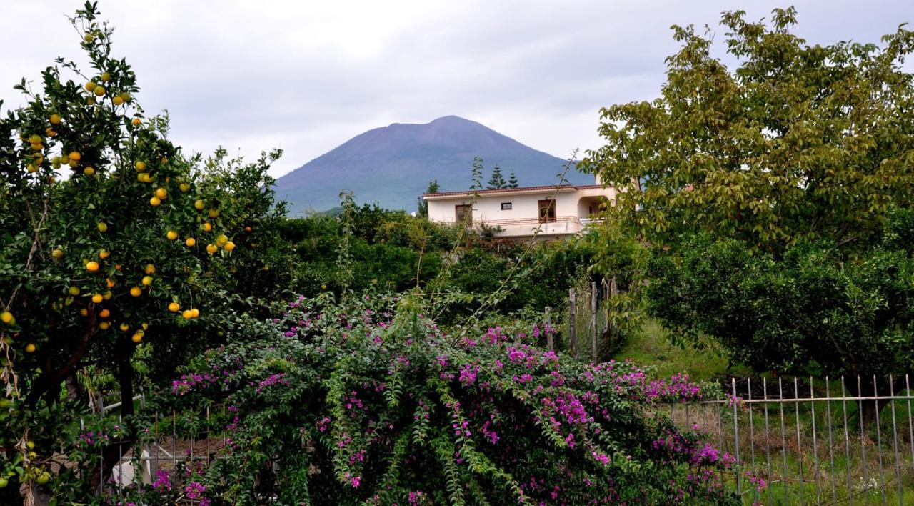B&B Casa Di Donna Trecase Exterior foto